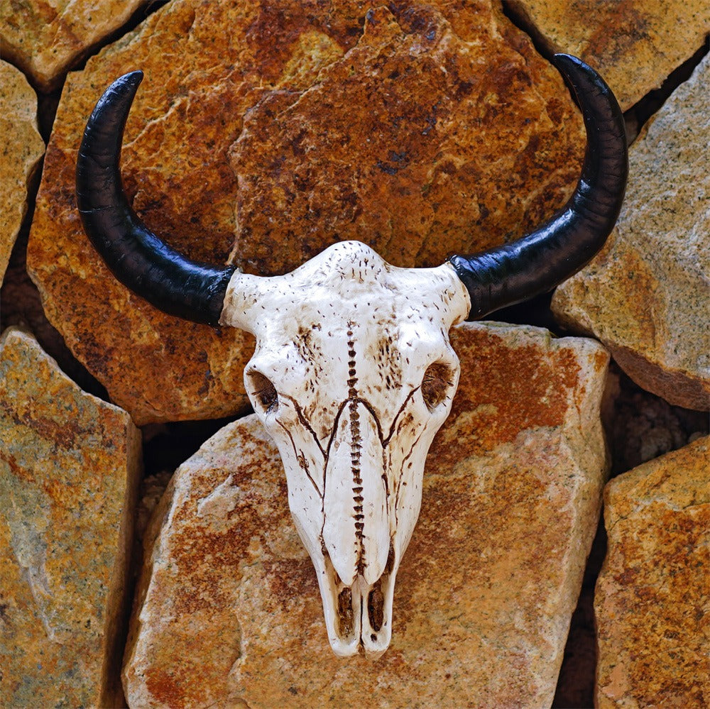 cow horn wall mounted three-dimensional bone ornament