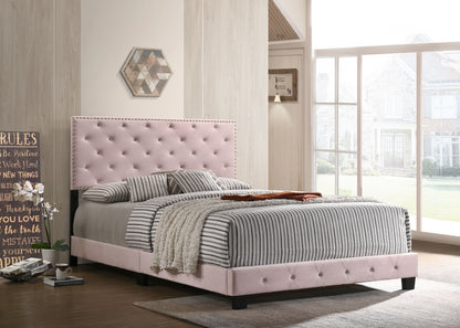 Velvet Suffolk Upholstered Bed, PINK